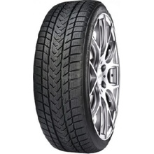 Gripmax Status Pro Winter 245/35 R20 95V