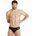 Arena Solid brief black