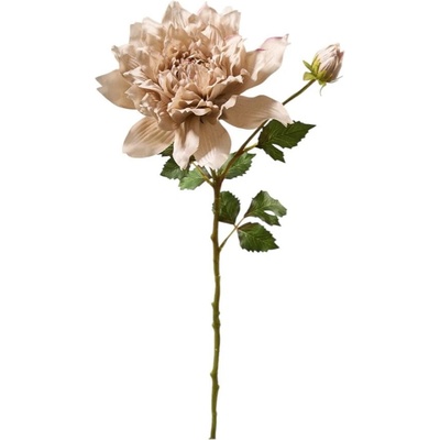 Florissima! Dahlia 66 cm krémová - Florissima