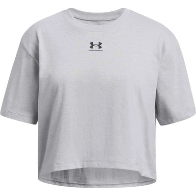 Under Armour Rival SS šedá
