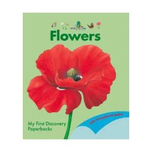 Flowers | Rene Mettler, Claude Delafosse (2021)