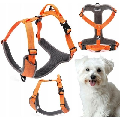 TRUELOVE Postroj pro psa LUMEN easy walk