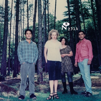Ida - Will You Find Me (Reissue) (4 LP) (825764123112)