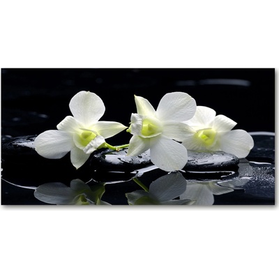 Foto obraz fotografie na skle orchidea 100x50 cm