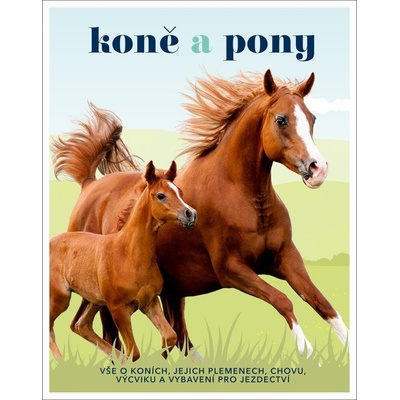 Koně a pony - Caroline Stamps