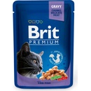 Brit Premium Cat Cod Fish 100 g