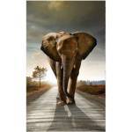 DIMEX ART Флизелинов фототапет ходящ слон 150 x 250 см