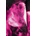 Versace Рокля Versace Jeans Couture (79HAO9P0.JS526)