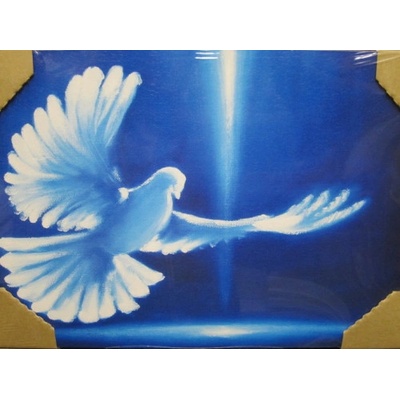 Obraz na dreve: Holubica (30 x 40)