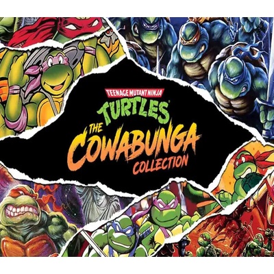 Teenage Mutant Ninja Turtles: The Cowabunga Collection