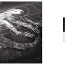 PIXIES: DOOLITTLE 25 CD