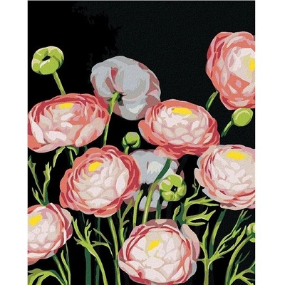 zuty Malování Podle Čísel Pivoňky Myroslava Voloschuk 80 x 100 Cm Plátno Rám