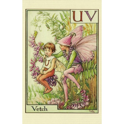 Pohlednice Květinová víla 97