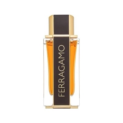 Salvatore Ferragamo Spicy Leather Special Edition parfumovaná voda pánska 100 ml