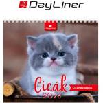 DAYLINER Календар, настолен, стоящ, dayliner „Котенца dl7as-cifal-hh (dl7as-cifal-hh)