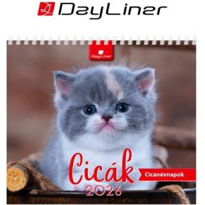 DAYLINER Календар, настолен, стоящ, dayliner „Котенца dl7as-cifal-hh (dl7as-cifal-hh)