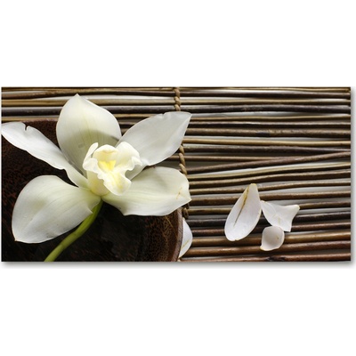 Foto obraz sklo tvrzené orchidea 100x50 cm