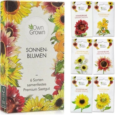 Own Grown Sada 6 druhov semien slnečnice 1 sada
