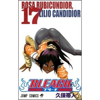 Bleach 17