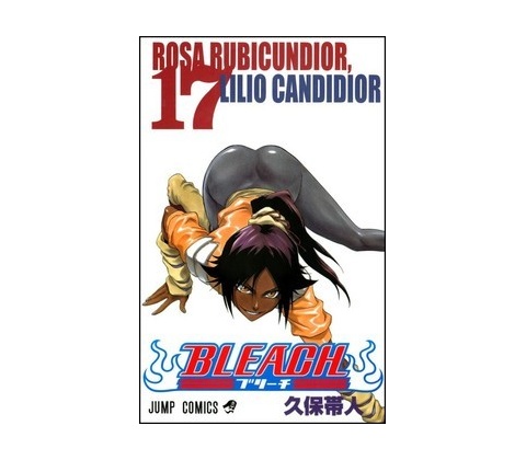 Bleach 17