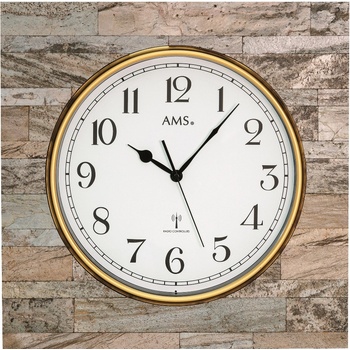 AMS 5567