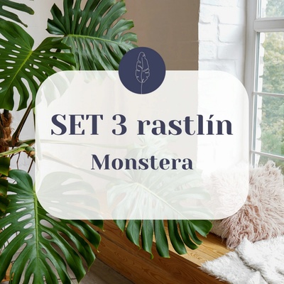 SET Monstera