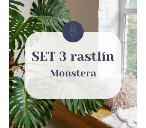 SET Monstera
