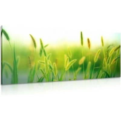 Obraz stébla trávy v zeleném provedení - 120x60