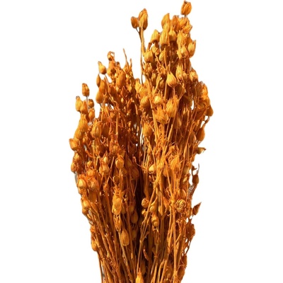 Silene oranžová 100 g
