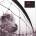 Pearl Jam - VS. (30th Anniversary) (Remastered) (2 LP) (0196588300516)
