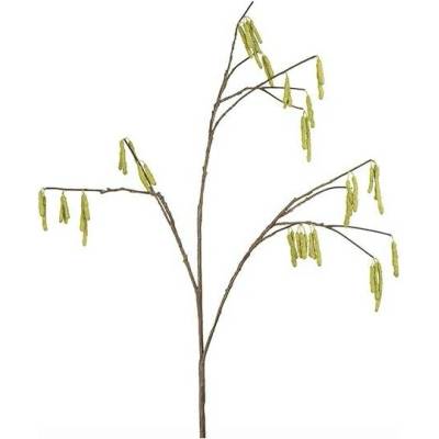 Jehnědy - Catkins stonek H112