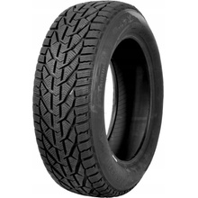 Taurus Winter 205/55 R17 95V