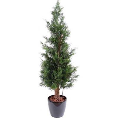 Umelý strom Cyprus tmavý s drevenými kmeňmi, 150cm