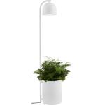 Kaspa Подова лампа Botanica XL бяла (40848101)