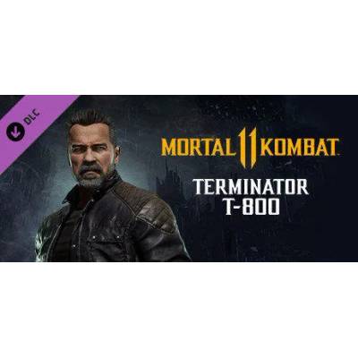 Игра Mortal Kombat 11 - Terminator T-800 за PC Steam, Електронна доставка