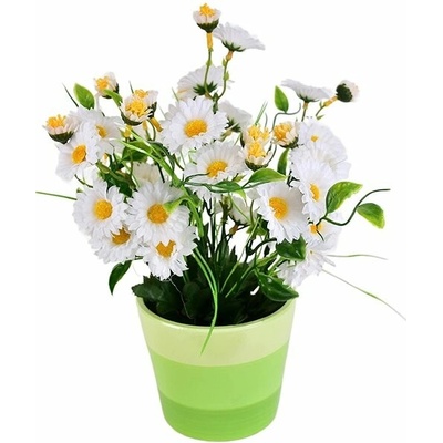 DOMMIO Margaréty biele 34 kvetov v keramickom kvetináči 30 × 25 cm