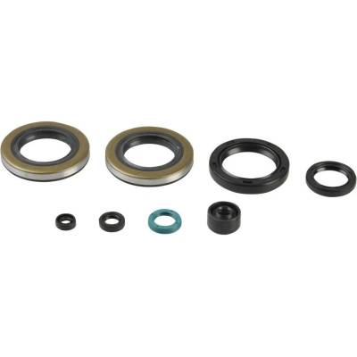 Sada gufer motoru ATHENA P400250400500