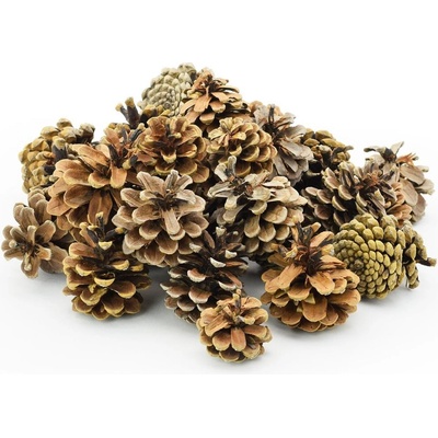 S006PACZ PINUS NIGER EXTRA 500g 5-8cm