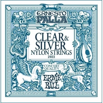Ernie Ball 2403