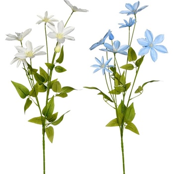 KS CLEMATIS 89cm 2F