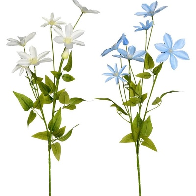 KS CLEMATIS 89cm 2F