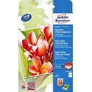 Avery C2549-50