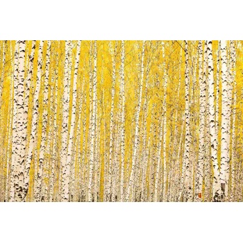 DIMEX ART s. r. o Флизелинов фототапет жълта бреза 375 x 250 см