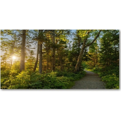 Fotoobraz na skle les 100x50 cm