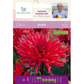 W. Legutko Далия Диабло червена 1 бр