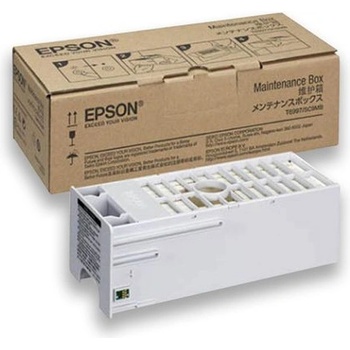 Epson T699700