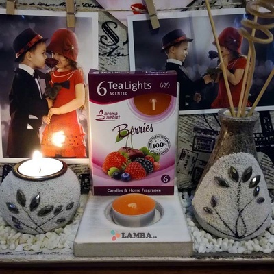 Morex BERRIES 6ks