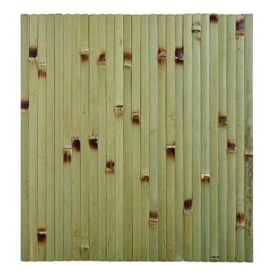 APS Prostírání bambus zelené 45x33cm