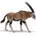 Papo Oryx antelope