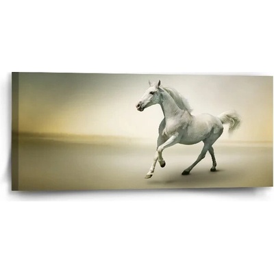 Sablio Obraz Biely kôň 2 - 110x50 cm
